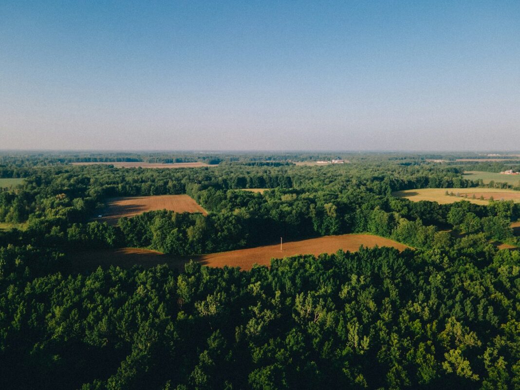 Na geoportalu można sprawdzić plan zagospodarowania przestrzennego oraz infrastrukturę wybranej działki budowlanej